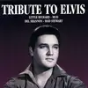 CD - Little Richard, Mud, Del Shannon, Rod Stewart, u.a - Tribute To Elvis