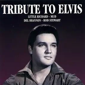 Little Richard - Tribute To Elvis