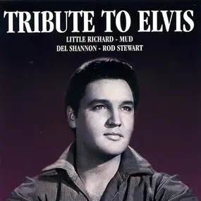 Little Richard - Tribute To Elvis