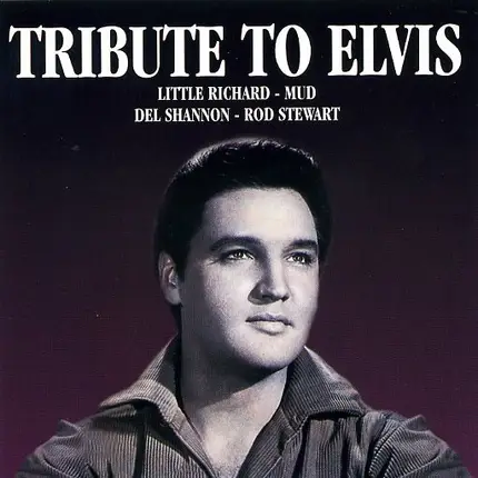 Little Richard, Mud, Del Shannon, Rod Stewart, u.a - Tribute To Elvis