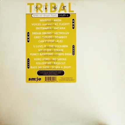 Anon, KC Flightt, Katana,.. - Tribal: Best Of House Music Volume 6