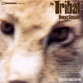 Jean F. Cochois - Tribal House Session