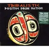 CD - Afrocalypso, Pole Pole, Tribalistik - Tribalistic Positive Drum Nation - Digipak