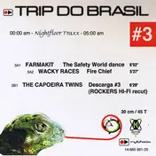 The Capoeira Twins - Trip Do Brasil #3