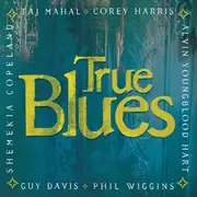 CD - Various - True Blues