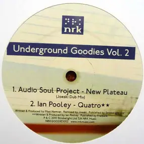 Various Artists - Underground Goodies Vol.2