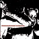 CD - Laydig, Warren Li Young a.o - Underground Screams