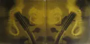 Double LP - Various Unter Der Leitung Von Claude Lazzaro Und Das Tanzorchester Erwin Klose - Wir Tanzen Wieder Tango - Gatefold