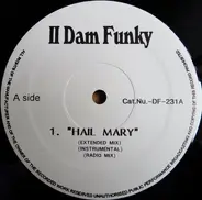 Various - II Dam Funky