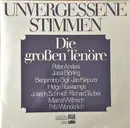Double LP - ANders, Björling, Kiepura a.o. - Unvergessene Stimmen (Die Grossen Tenöre)