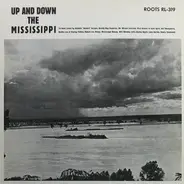 Richard "Rabbit" Brown, Buddy Boy Hawkins, Bo Weavil Jackson a.o. - Up And Down The Mississippi (1926-1940)