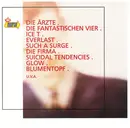 CD - Die Ärzte / Ice T / Such A Surge a.o. - Vans Warped Tour Compilation '99