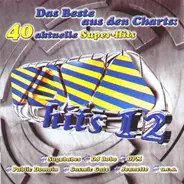 Sugababes, DJ Bobo & Irene Cara, Baha Men a.o. - Viva Hits 12