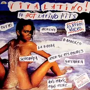 Los Cheles, Chavis, Junco a.o. - Viva Latino! 14 Hot Latino Hits