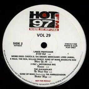 Various Artists - Vol. 29