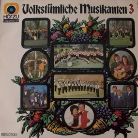 Das Hellberg-Duo - Volkstümliche Musikanten 3