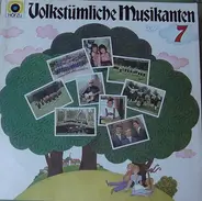 Various - Volkstümliche Musikanten 7
