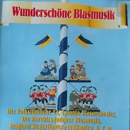 Die Volkstümliche 13, Pleistaler Musikanten, Colonia Blasorchester... - Wunderschöne Blasmusik