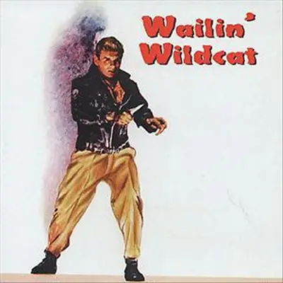 Steve Bledsoe / Jay Chevalier / Buddy Miller a.o. - Wailin' Wildcat