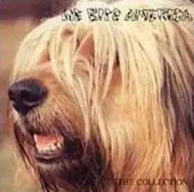 Negazione, Crawlpappy, Suck Speed, Richies, u.a - We Bite America - The Collection