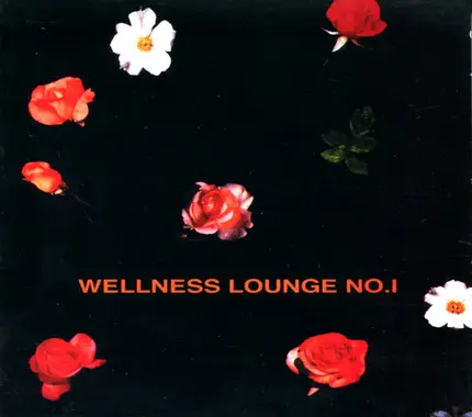 AKMUsique, Nighthawks, Mindprint Traveller a.o. - Wellness Lounge  No. 1