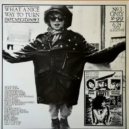 Various - What A Nice Way To Turn Seventeen No. 3