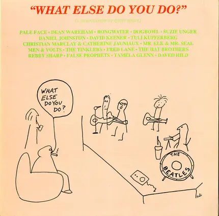 False Prophets / Suzie Unger / Dogbowl / Fred Lane / a.o. - What Else Do You Do?: A Compilation Of Quiet Music