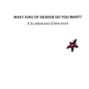 7inch Vinyl Single - Various - What Kind Of Heaven Do You Want? (A Slumberland Compilation) - EP, Limited Edition