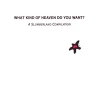 Various - What Kind Of Heaven Do You Want? (A Slumberland Compilation)