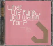 Moby, Underworld a.o. - What The Funk You Waitin' For?