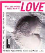 CD - The Beach Boys, Dionne Warwick, Peter Cetera, Exile - What the World Needs Now is love