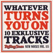 Junip / Gemma Hayes / Matthew E. White a.o. - Whatever Turns You On (10 Exklusive Tracks - New Noises Vol. 115)