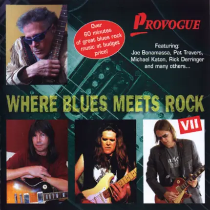 Eric Gales. Michael Landau a.o. - Where Blues Meets Rock VII