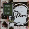 LP - Eve 6, The Get-Up Kids, Weezer, Far & others - Where Is My Mind?: A Tribute To The Pixies - clear vinyl + booklet inside