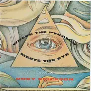 ZZ Top / Primal Scream / Julian Cope a.o. - Where The Pyramid Meets The Eye - A Tribute To Roky Erickson