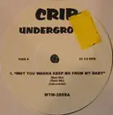 12inch Vinyl Single - Hip Hop Sampler - Why You Wanna Keep Me From My Baby / Say My Name / I Don't Wanna / You Came Along