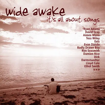 Maplewood / Stephen Duffy & The Lilac Time a.o. - Wide Awake - It's All About Songs