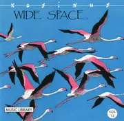 CD - P.J. Gidon, E. Caspar, S. Joly - Wide Space