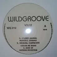 Montell Jordan a.o. - Wildgroove Vol 12