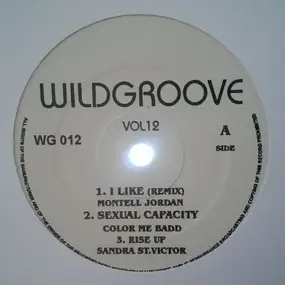 Various Artists - Wildgroove Vol 12