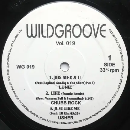 Luniz, Chubb Rock, Usher - Wildgroove Vol. 19