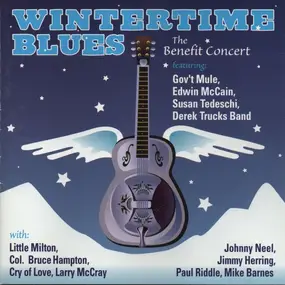 Edwin McCain - Wintertime Blues - The Benefit Concert