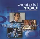Double CD - Various - Wonderful You