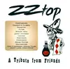 CD - The M.O.B,Filter,Nickelback,Wolfmother, u.a - ZZ Top - A Tribute From Friends