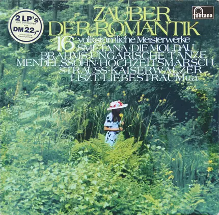 Smetana / Chopin / Brahms a.o. - Zauber Der Romantik (16 Volkstümliche Meisterwerke)