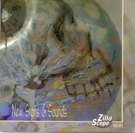 Ice Ages - ZilloScope: New Signs & Sounds 02/01