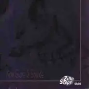 Glampire, Diva Destruction a.o. - ZilloScope: New Signs & Sounds 09/01