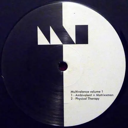 Various - Multivalence Vol. 1