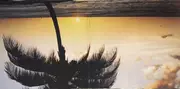Double LP - Various - Musik Zum Verlieben - Zärtliche Träumereien