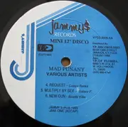 12inch Vinyl Single - Reggae Sampler - Mad Punany - Still Sealed